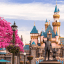 Photo of a castle at Disneyland Paris with pink blossoms on either side.
