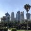 A view of Doha city with a green park and palms in front and skyscrapers behind.