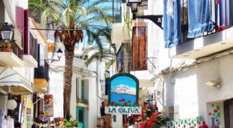 white buildings decorated with colors and a palm tree up ahead under a bright blue sky