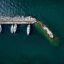 aerial shot of boats at Patras port, four white boats in green blue waters