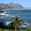 mountains at a distance with palm trees and rocks near a body of water