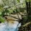 river surrounded by green trees in a daytime photo of Morgantown’s forest
