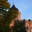 courthouse appearing behind a green tree during golden hour