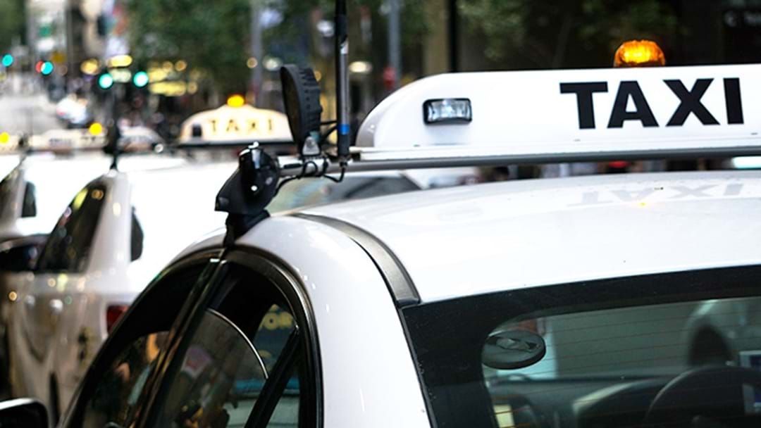 Sunshine Coast taxi white vehicles with a signature taxi roof sign and its light on