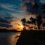 shadows of palm trees by body of water during golden hour, all under thick grey clouds in Kochi / Cochin