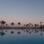 palm tree lined swimming pool after sunset, reflecting onto pool water