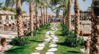 palm tree lined path in a Hurghada family resort during the daytime