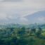 mountains on a foggy day by a green forest