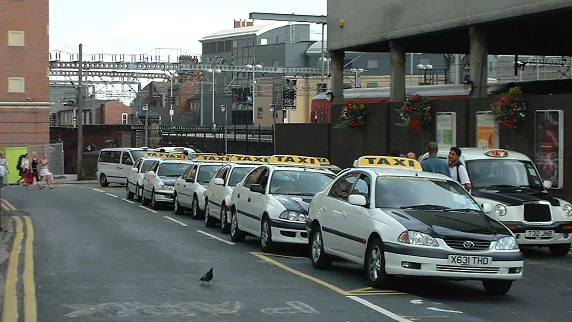 yellow and black coloured taxis with a large yellow taxi sign on their roof