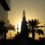 A triangular-shaped building with an oval structure near the tip set against a sunset sky with some palm trees.