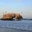 a rock arch surfaced over ocean waters surrounded by flying birds