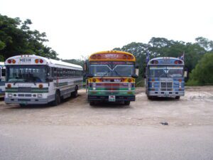 belize-buses Old Belize city buses