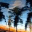 airport transfer punta cana