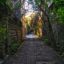 View of a tree-lined cobbled street in Kuta.