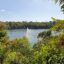 a lake surrounded by green trees