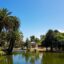 A view of the lake at Parque Rodo with palm trees lining the bank and a small building in the distance.