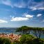 A view of a rocky coastline lined with green trees, with turquoise waters and blue skies above.