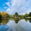 View of a body of water surrounded by green strees and grass, with blue skies above.