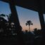 View of the sky at sunset with tall palms in the distance.