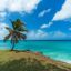 View of a single palm tree on a grassy coastline overlooking a turquoise ocean under a blue sky with white clouds in Barbados.