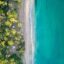 Aerial view of treeline bordered by clear blue ocean water with a strip of sand dividing them.