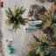 Aerial view of a white sandy beach with palm trees, two small fishing boats and people sunbathing with green umbrellas.