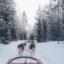 A group of huskies pulling a dog sled through a snow covered forest in Rovaniemi