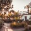 Garden pathways surrounded by lush greenery and palm trees with white-washed buildings in the background to the right.