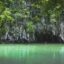 Green water spans before a tree covered rocky cliff.