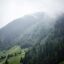 Tree covered mountains near St Anton