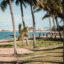 Palm trees on grass line the sand of a beach along the coast of Australia near Townsville.