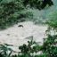 Sand amidst the forest in Aguas Calientes, Peru.