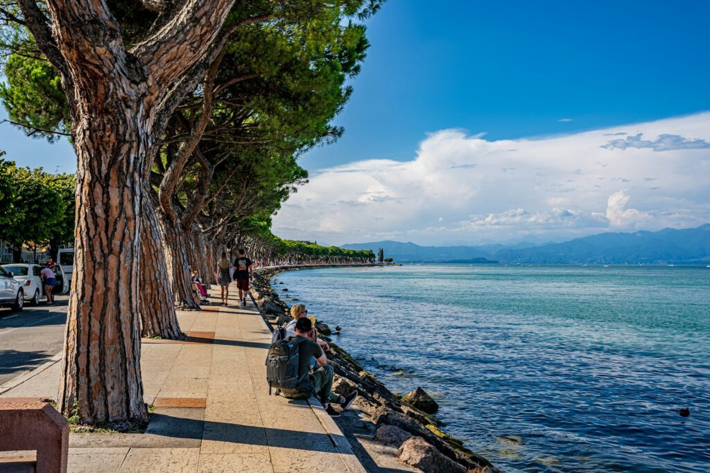 A row of trees along a footpath that runs along the shore of Lake Garda to the right.