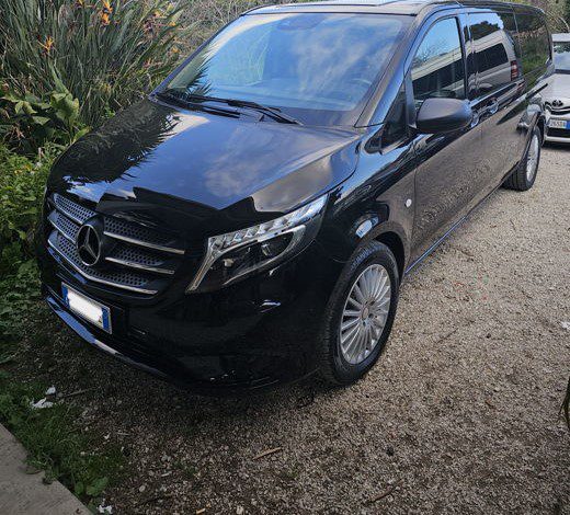 palermo_minivan_2