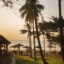 Phu Quoc sunset through palm trees.