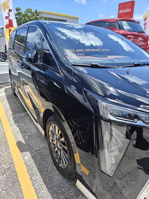 saint martin minivan